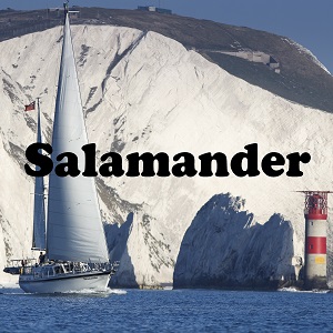 The Salamander Sailing Adventure Lymington - Nauticfan the maritime portal