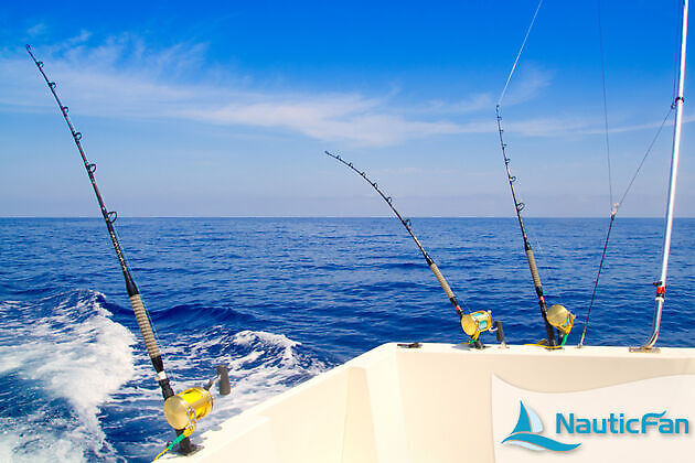 Fishing on the open sea: adventure, tranquility and the magic of the horizon - Nauticfan the maritime portal