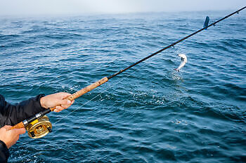 Fishing on the open sea: adventure, tranquility and the magic of the horizon - Nauticfan the maritime portal